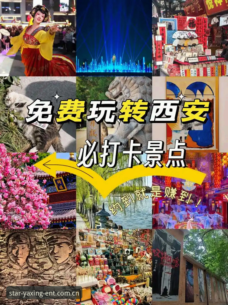 最新亚星娱乐赛事数据站使用教程：从下载到查数据一站搞定